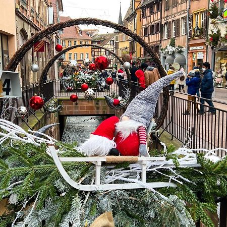 Les Suites Du Cygne Colmar Exteriér fotografie