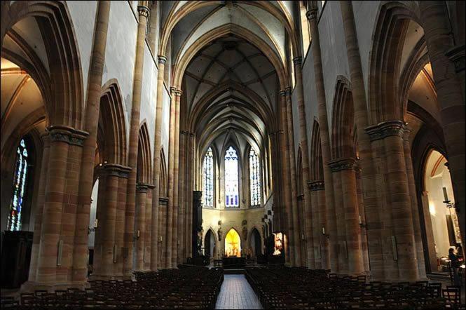 Les Suites Du Cygne Colmar Exteriér fotografie
