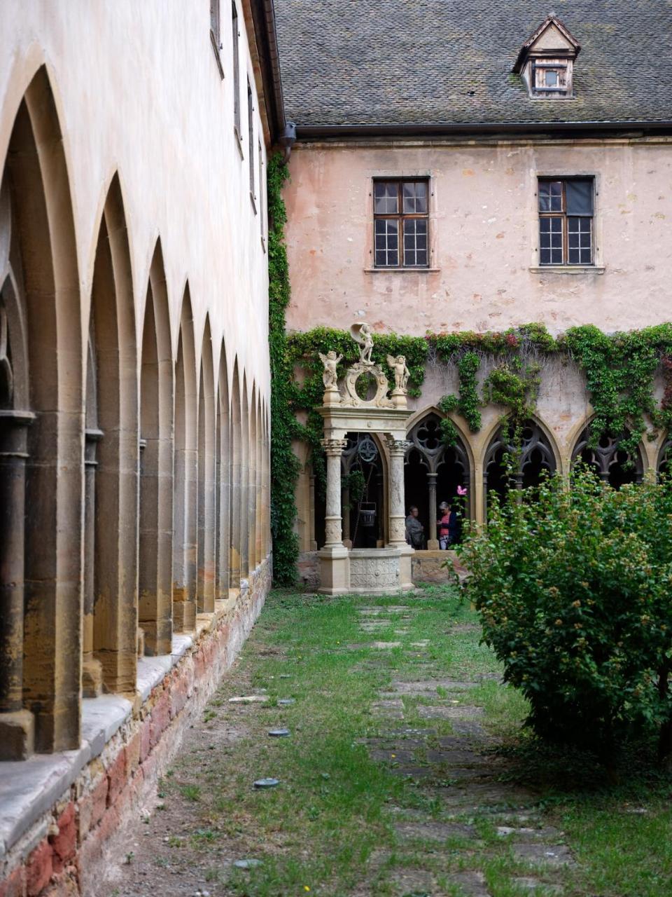 Les Suites Du Cygne Colmar Exteriér fotografie