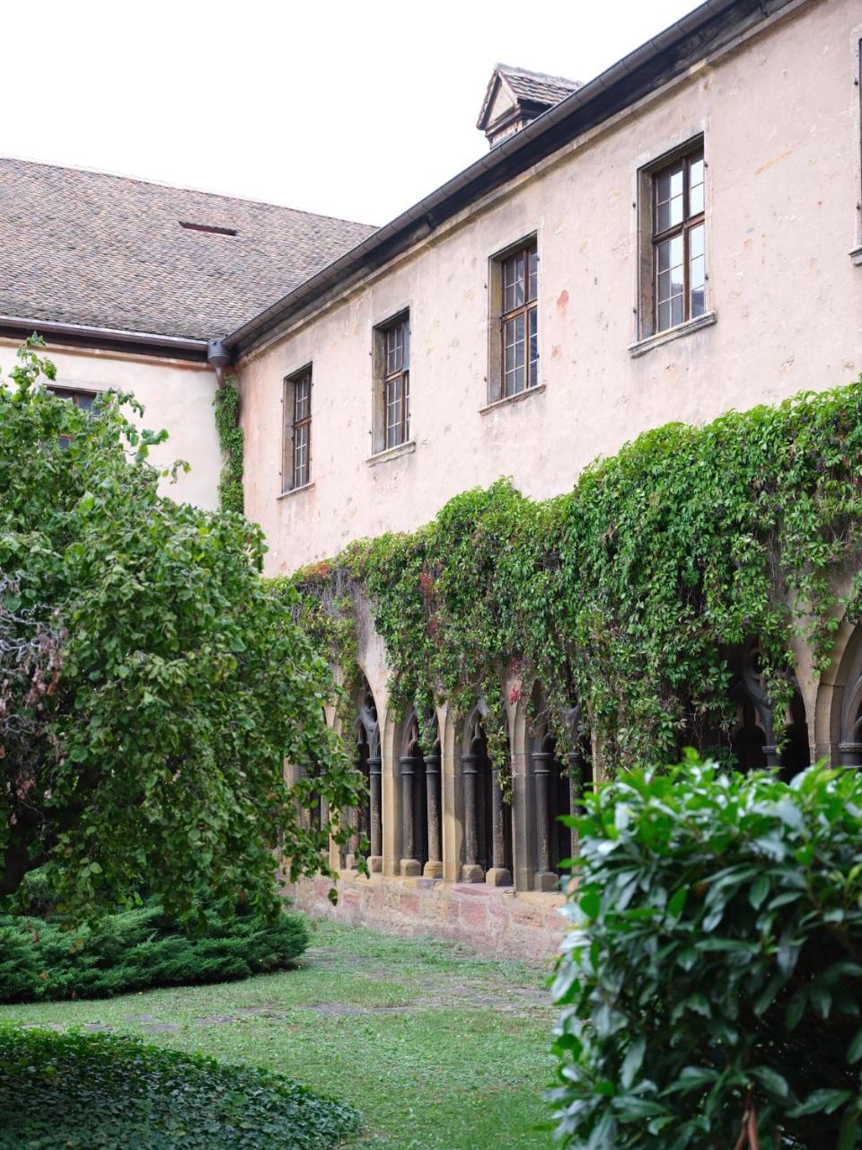 Les Suites Du Cygne Colmar Exteriér fotografie