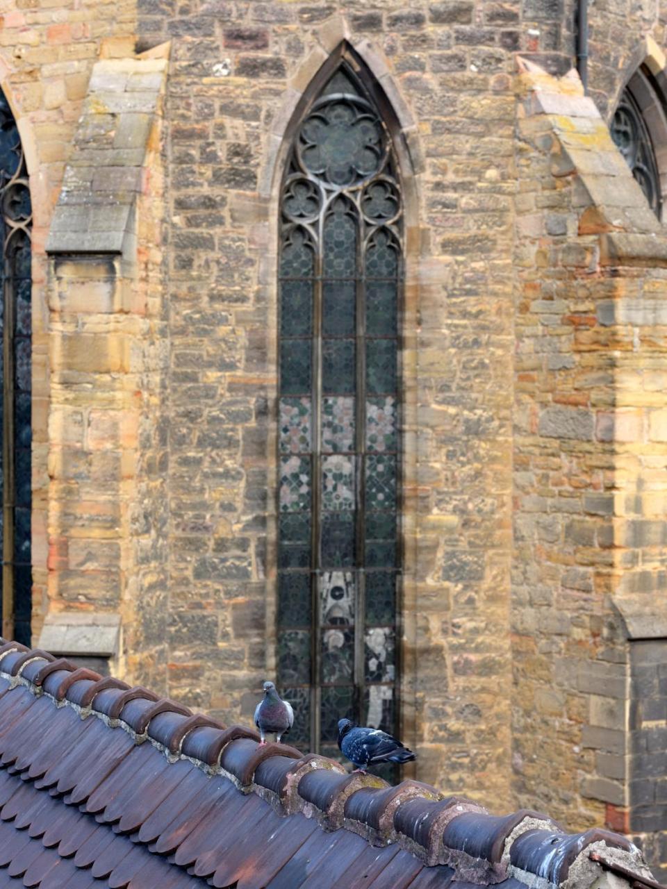 Les Suites Du Cygne Colmar Exteriér fotografie